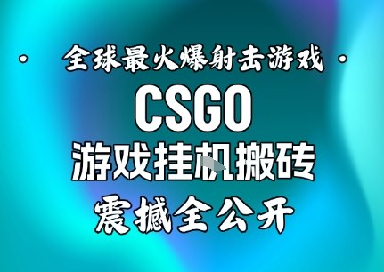 【年底大揭秘】基于全球最火爆的射擊CSGO游戲掛G搬磚,日入5張+,震撼公開