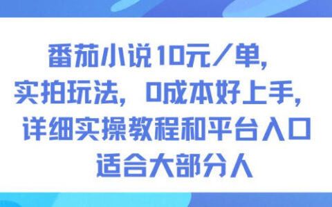 番茄小說10米每單，實拍玩法，0成本好上手，詳細實操教程和平臺入口適合大部分人