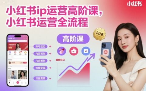 小紅書ip運營高階課，小紅書運營全流程