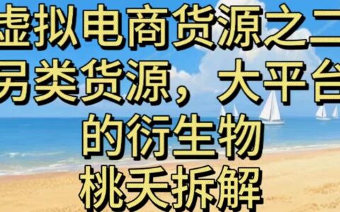 虛擬電商之二—另類的貨源，大平臺(tái)的衍生物