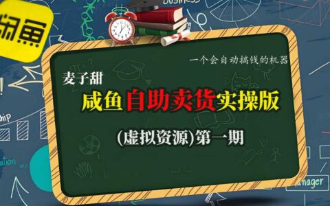 麥子甜咸魚自助賣貨實操版（虛擬資源）一個會自動搞錢的機器