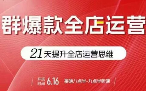 賈真電商群爆款全店運營，21天提升全店運營思維，起店、全店運營爆款不斷