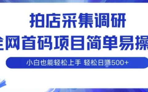 拍店采集調(diào)研，全網(wǎng)首碼項(xiàng)目，簡單易操作， 小白也能輕松上手，多賬號(hào)操作，輕松日入5張【揭秘】