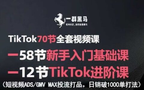 TikTok全套視頻課，新手入門+進(jìn)階課，短視頻ADS-GMV MAX投流打品，日銷破1000單打法