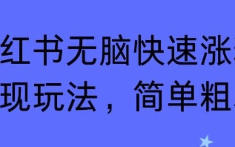 小紅書無腦快速漲粉變現玩法，簡單粗暴