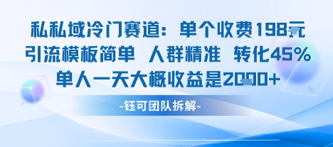私域冷門賽道單個收費198米引流模板簡單人群精準 45%的轉化率單人一天大概收益多張