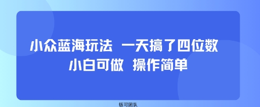 小眾藍(lán)海玩法 一天搞了四位數(shù) 小白可做 操作簡(jiǎn)單
