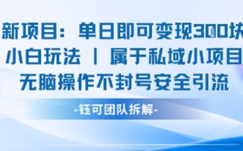 新項目單日即可變現(xiàn)3張的小白玩法無腦操作不封號安全引流