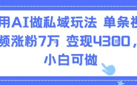 用AI做私域玩法，單條視頻漲粉7W變現4.3k，小白可做