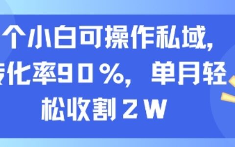 一個(gè)小白可操作私域，轉(zhuǎn)化率90%，單月輕松收割2W