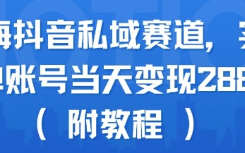 藍海抖音私域賽道，實操單賬號當天變現288+(附教程)