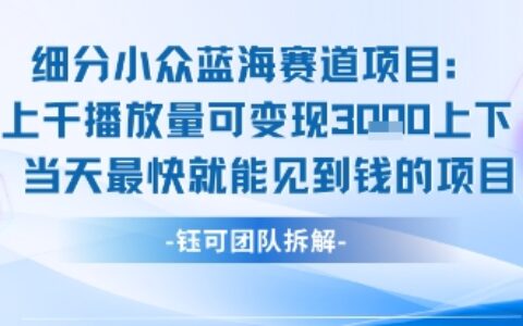 小眾藍海賽道項目：當天變現(xiàn)1k+適合新手操作 +適合長期玩