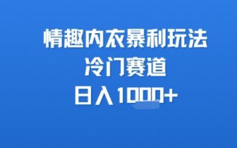 情趣內(nèi)衣暴利玩法，冷門賽道，日入1k+