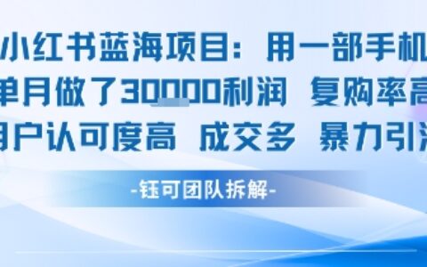 小紅書藍(lán)海項(xiàng)目，一部手機(jī)單月做了3W利潤，小白也能月入過1W用戶認(rèn)可度高成交多