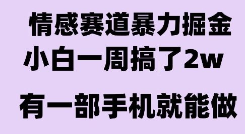 情感暴力掘金項(xiàng)目,新人操作一周掙了2W,長期穩(wěn)定小白可做【揭秘】