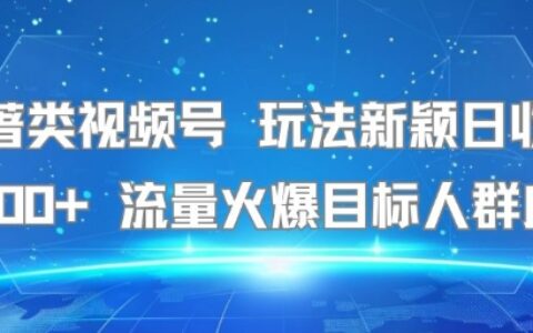 名著類視頻號(hào) 玩法新穎日收益500+ 流量火爆目標(biāo)人群廣