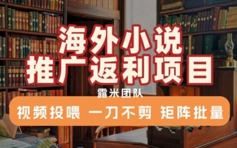 海外小說(shuō)推廣返利項(xiàng)目，視頻投喂， 一刀不剪，矩陣批量