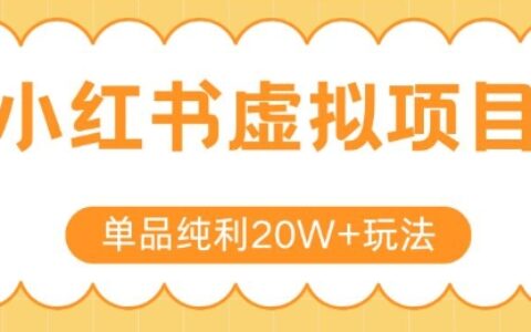 小紅書賣虛擬產(chǎn)品，單品純利20W+玩法分享，4節(jié)系列課程