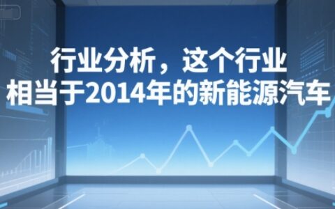付費文章：行業分析，這個行業，相當于2014年的新能源汽車