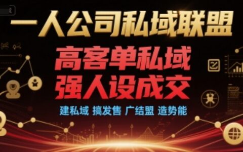一人公司私域聯盟，高客單私域，強人設成交，建私域 搞發售 廣結盟 造勢能