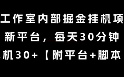 某工作室內(nèi)部掘金掛G項(xiàng)目，新平臺(tái)，每天30分鐘，單機(jī)30+【揭秘】