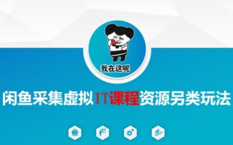 閑魚采集虛擬IT課程資源另類玩法，干貨滿滿