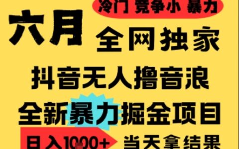 25年6月高爆抖音無人直播最新擼音浪掘金項目，小白可做，無腦日入1k+，門檻低可批量矩陣【揭秘】