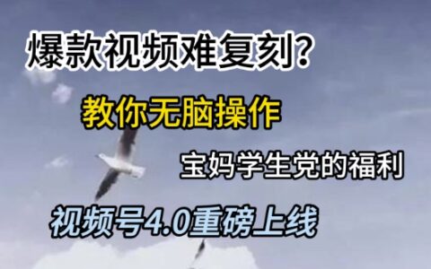 視頻號4.0重磅上線，爆款視頻難復刻？教你無腦操作寶媽學生黨的福利【揭秘】