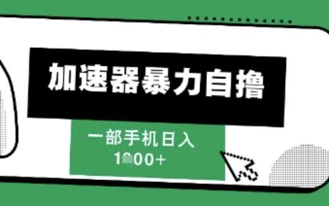 205新風口，加速器暴力自擼，單機日入1k+【揭秘】