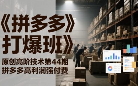 《拼多多打爆班》原創高階技術第44期，拼多多高利潤強付費