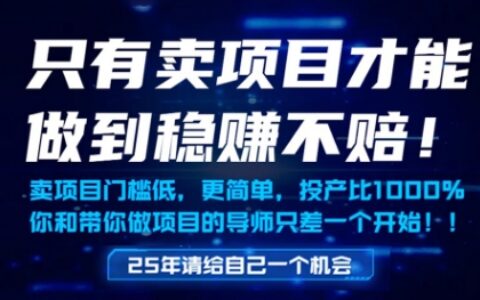 只有賣項目才能做到穩掙不賠，門檻低，更簡單，你也可以年入百個W【揭秘】