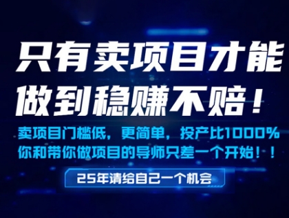只有賣項目才能做到穩掙不賠，門檻低，更簡單，你也可以年入百個W【揭秘】