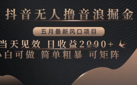 抖音無人擼音浪掘金，五月最新風(fēng)口項(xiàng)目，當(dāng)天見效，日收益多張，小白可做簡單粗暴可矩陣【揭秘】