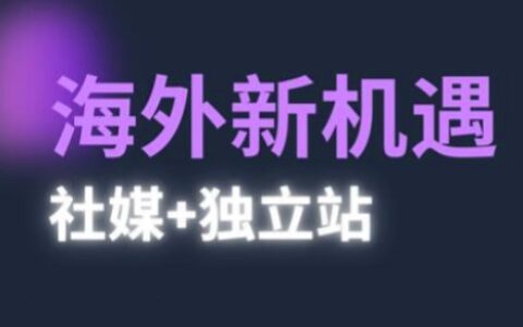 2025出海新機遇(社媒+獨立站)，海外新機遇，實現獨立站的高效運營與出海