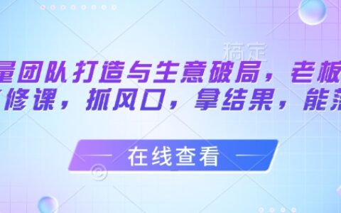 流量團(tuán)隊(duì)打造與生意破局，老板流量必修課，抓風(fēng)口，拿結(jié)果，能落地