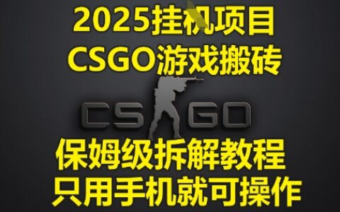 2025掛G項(xiàng)目，CSGO游戲搬磚，保姆級(jí)拆解教程，只用手機(jī)就可操作【揭秘】