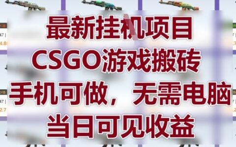 最新掛G項(xiàng)目，CSGO游戲搬磚，手機(jī)可做，無(wú)需電腦，當(dāng)日見收益【揭秘】