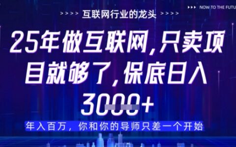 什么！25年你還在找項目做？風口早就變了，賣項目才是穩掙不賠【揭秘】
