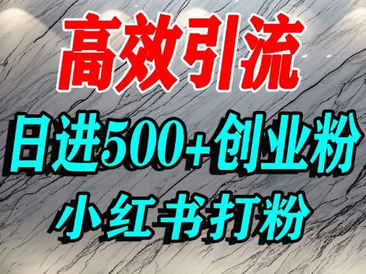 怎么打創業粉？小紅書預算3000項目推薦引流精準創業粉，單人操作日引500+精準創業粉