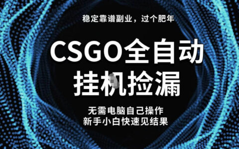 【穩定副業】全球最熱門游戲CSGO全自動撿漏，最新玩法，新手小白日入5張+【揭秘】