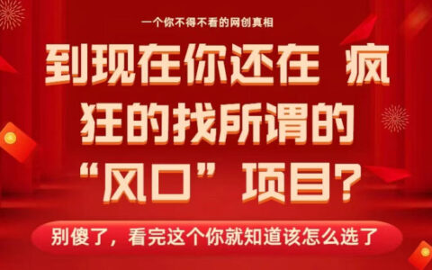 馬上26年了，你還在找所謂的風口項目？別傻了，看完這個你全都懂了！【揭秘】
