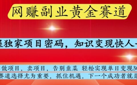 網創副業黃全賽道，掌握獨家項目密碼，知識變現快人一步，告別韭菜輕松實現單日變現1k+【揭秘】