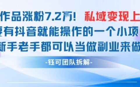 抖音私域項目23條作品漲粉7.2W，私域變現(xiàn)1W
