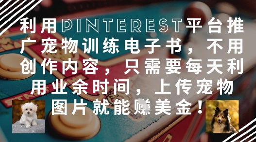 利用Pinterest平臺推廣寵物訓練電子書,不用創作內容,只需要每天利用業余時間,上傳寵物圖片就能掙美金!