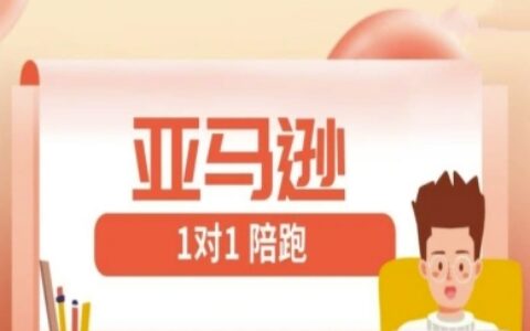 亞馬遜1對1陪跑課(FBA/FBM精鋪)跨境亞馬遜教程