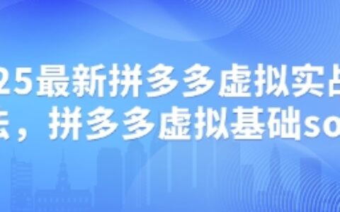 2025最新拼多多虛擬實戰打法，拼多多虛擬基礎sop