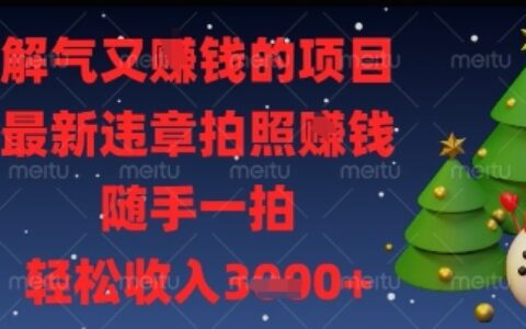 解氣又掙錢的項目，最新違章拍照掙錢，隨手一拍，輕松收入多張【揭秘】