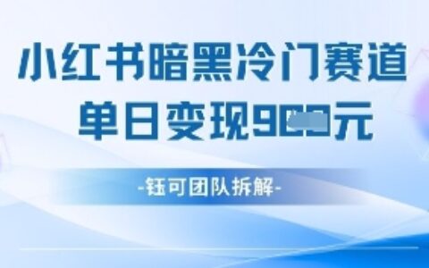 小紅書冷門”暗黑”賽道，單日收益多張