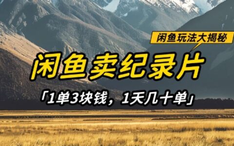 閑魚(yú)賣紀(jì)錄片1單3塊錢，1天幾十單，項(xiàng)目穩(wěn)定有潛力
