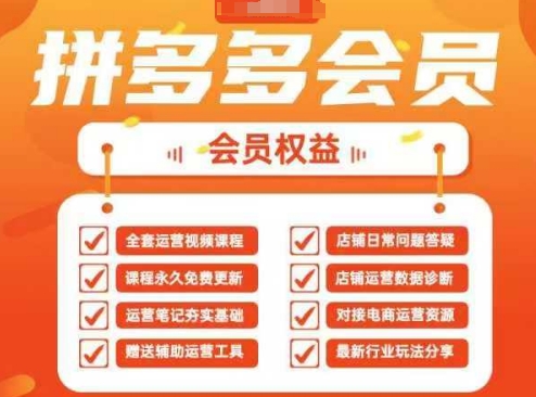 2025拼多多運營實戰課,40節全流程教學,覆蓋拼多多運營全鏈路